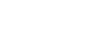 Everything Forever Inc.